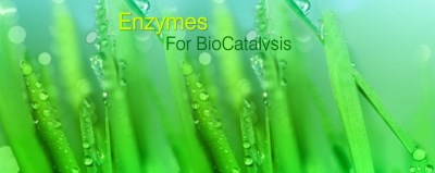 Enzymes Xúc tác Sinh học